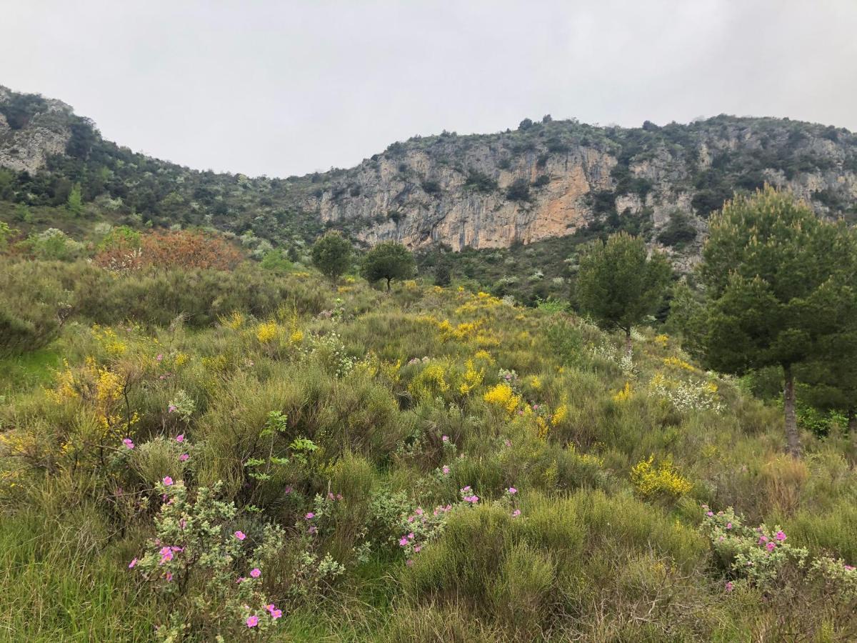 "Aux Balcons Du Riou" Avec Vue Mer 180 Degres Vence Exteriér fotografie